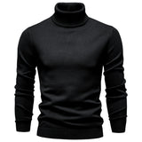 Pull homme col roulé